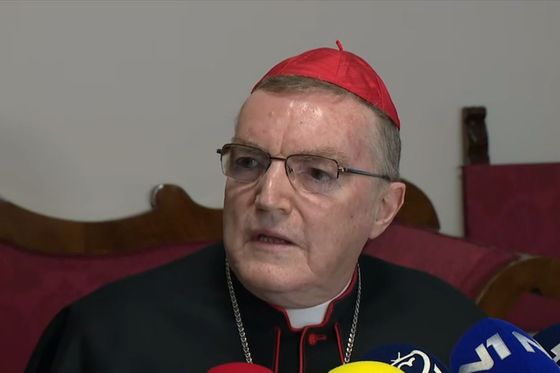 Josip Bozanić, zagrebački nadbiskup u miru