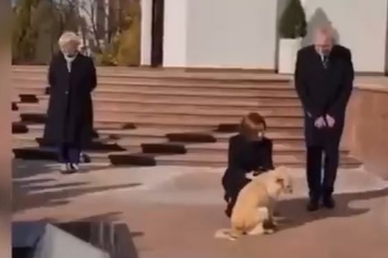Prizor prije ugriza