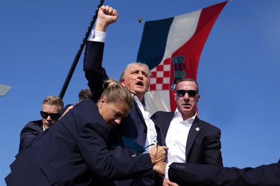 Miro Bulj fotomontaža