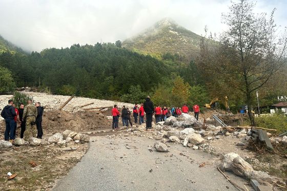 HGSS u Bosni i Hercegovini - 2