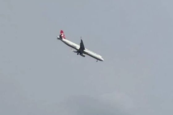 Avion
