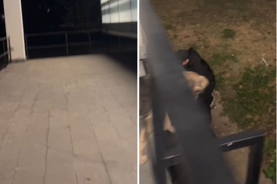 Napad na studente