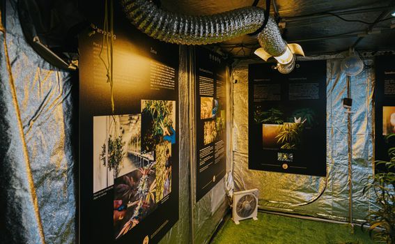 Muzej konoplje - 18