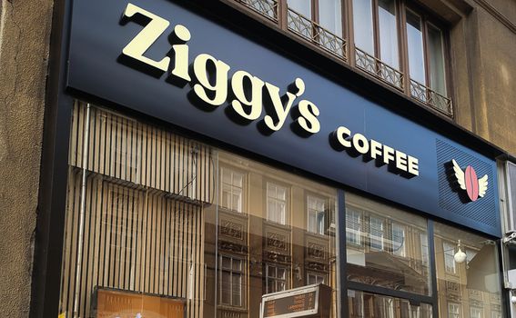 Ziggy's Coffee - 8