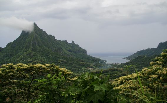 Mooreu i Tahiti - 39