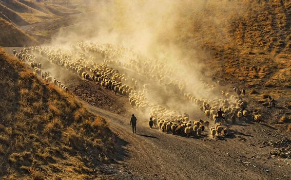 Turski pastiri u proljeće u Tatvanu - 3