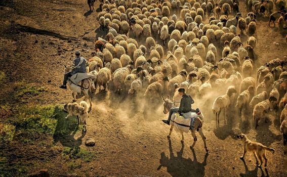 Turski pastiri u proljeće u Tatvanu - 4