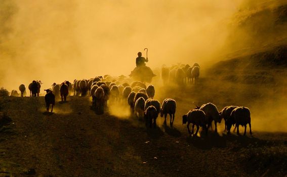 Turski pastiri u proljeće u Tatvanu - 7