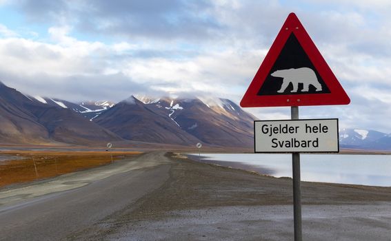 Opasnost od polarnih medvjeda na Svalbardu