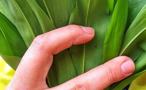 Dan medvjeđeg luka - 5