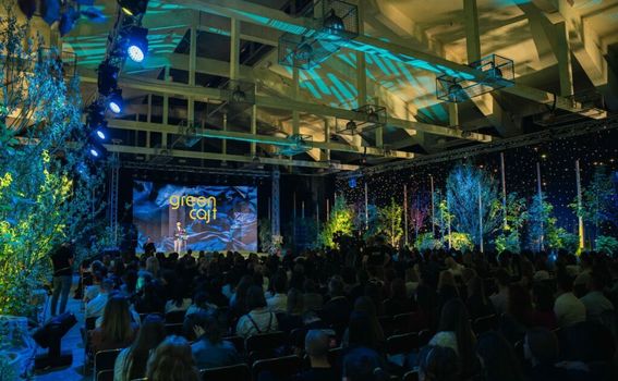 Greencajt festival - 3