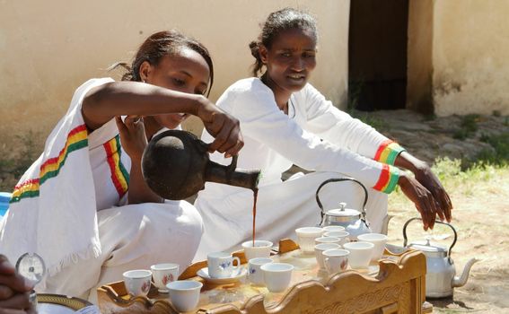 Kviz općeg znanja - 12