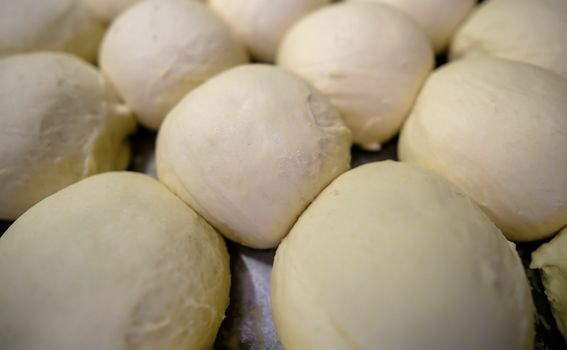 Tijesto za pizzu - 1