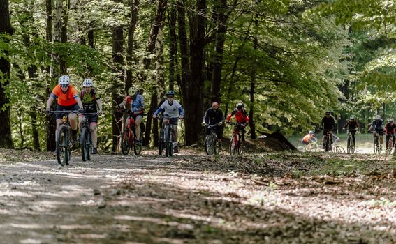 Dan planeta Zemlje u Moslavini - 5