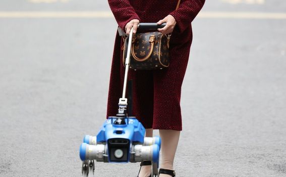 Robopsi za pomoć slabovidnim osobama u Chengduu u Kini - 1