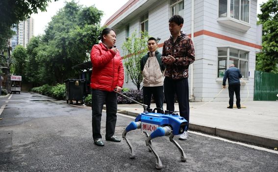 Robopsi za pomoć slabovidnim osobama u Chengduu u Kini - 2