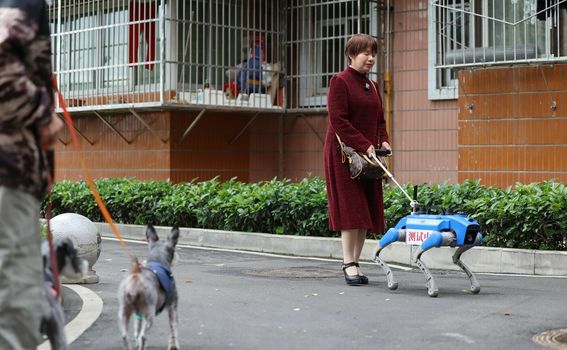 Robopsi za pomoć slabovidnim osobama u Chengduu u Kini - 3