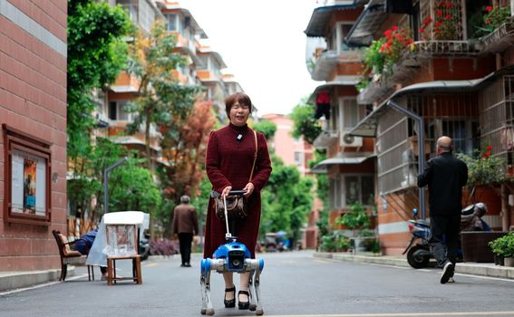 Robopsi za pomoć slabovidnim osobama u Chengduu u Kini - 4