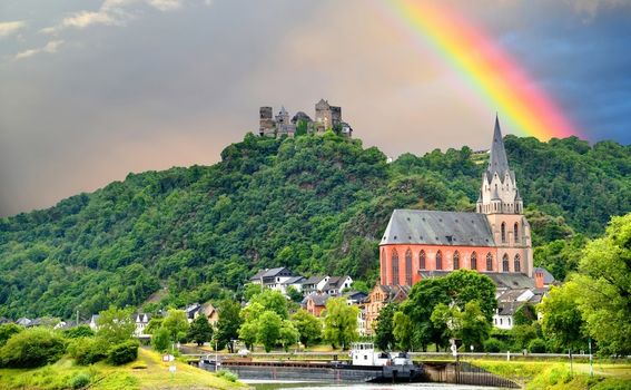 Dvorci rijeke Rajne - 2