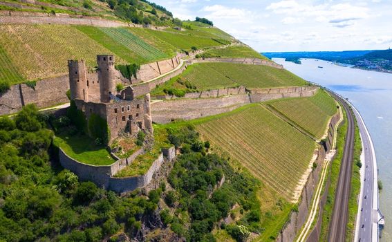 Dvorci rijeke Rajne - 4