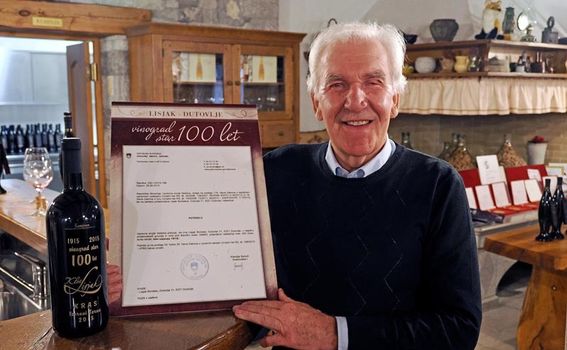 Kras u Sloveniji - odredište za sva osjetila - 22