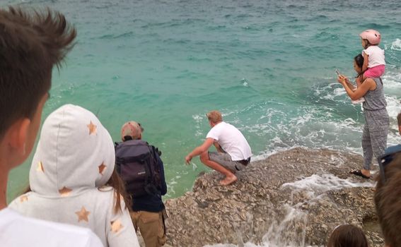 Puštanje glavate želve natrag u more nakon liječenja