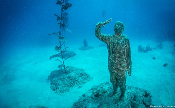 Morske skulpture, Meksiko - 1
