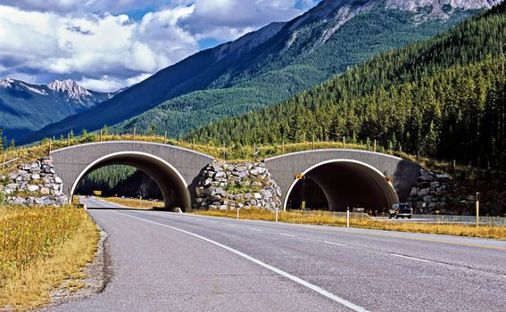 Prijelaz za divlje životinje preko Trans-Kanadske autoceste u Nacionalnom parku Banff