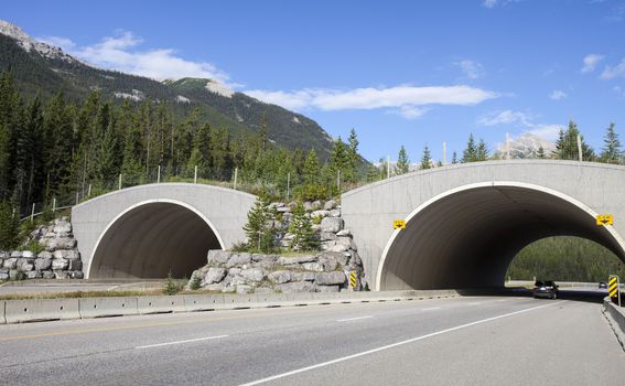Prijelaz za divlje životinje preko Trans-Kanadske autoceste u Nacionalnom parku Banff