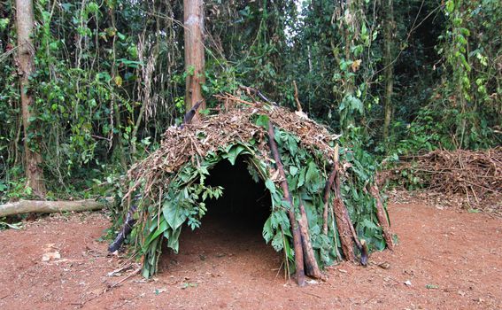 Pleme Mbuti živi u prašumama Konga, u malim, prirodnim šatorima