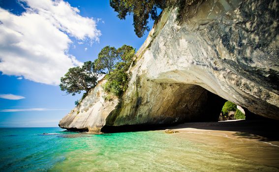 Cathedral cove - 5