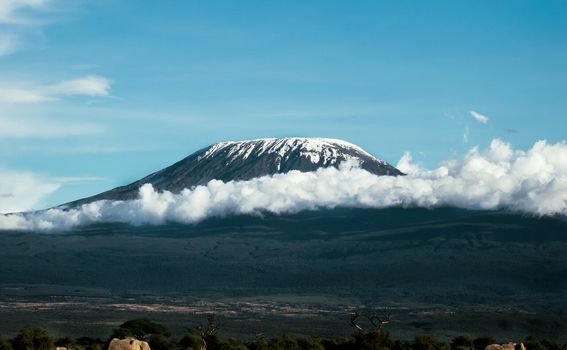 Kilimandžaro - 2