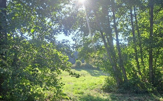 Turopoljska trail utrka Ključić brdo - 5