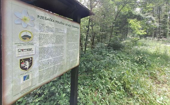 Turopoljska trail utrka Ključić brdo - 8