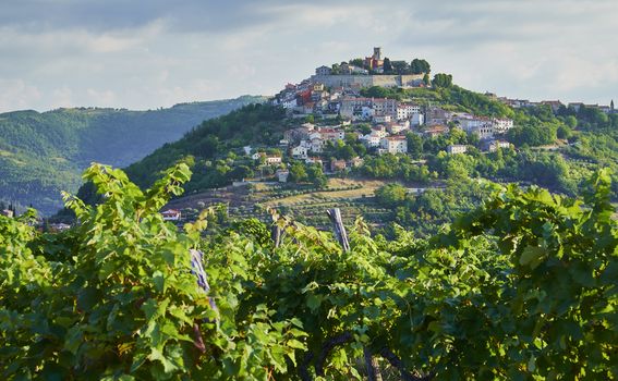 Motovun