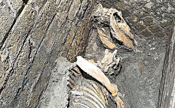 Arheološki park Pompeji 6. kolovoza 2025. prikazuje nova otkrića u Pompejima - 1