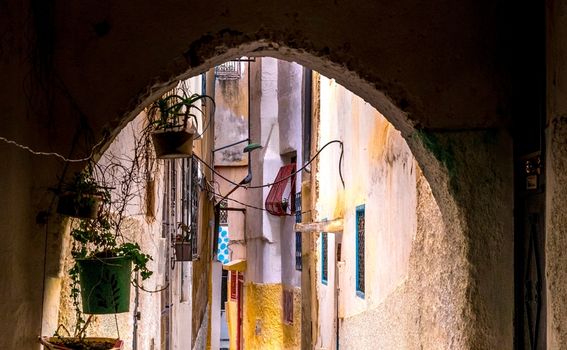 Moulay Idriss - 3
