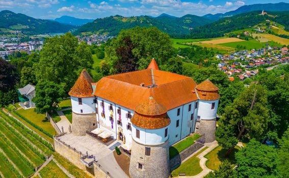 Slovenski dvorci - 4
