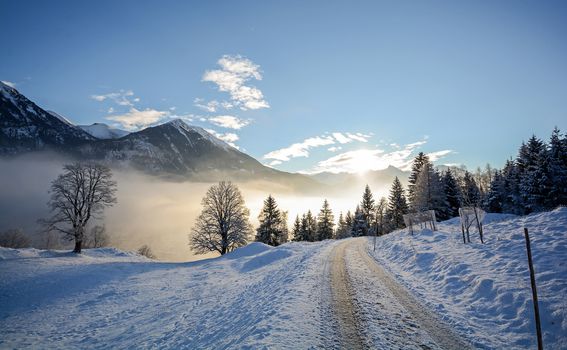 Ceste koje vode ravno u zimsku čarolija