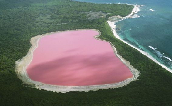 Ružičasto jezero u Australiji
