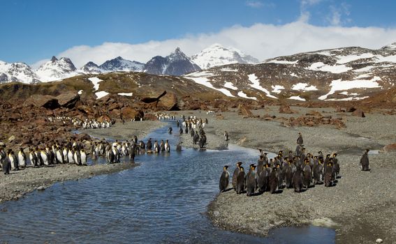 Kerguelen - 1