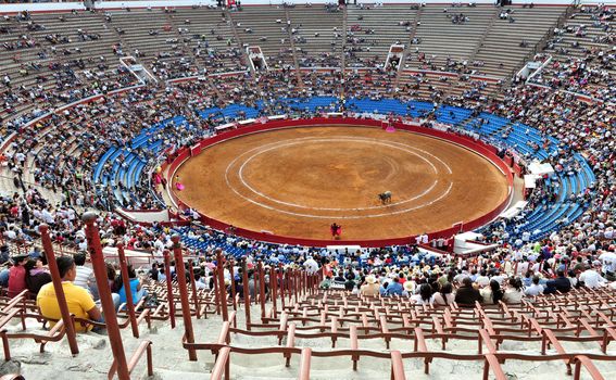 Plaza de Toros México - 1