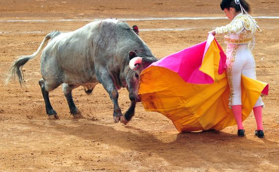 Plaza de Toros México - 7