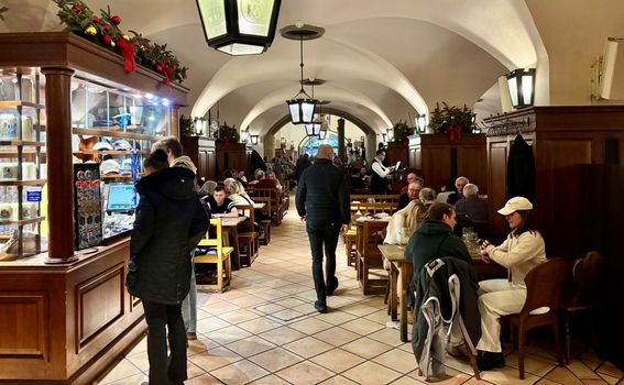 Hofbräuhaus München - 1