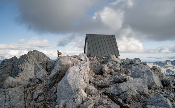 Planinarsko sklonište u sjećanje na Lucu Vuericha u Julijskim Alpama - 5