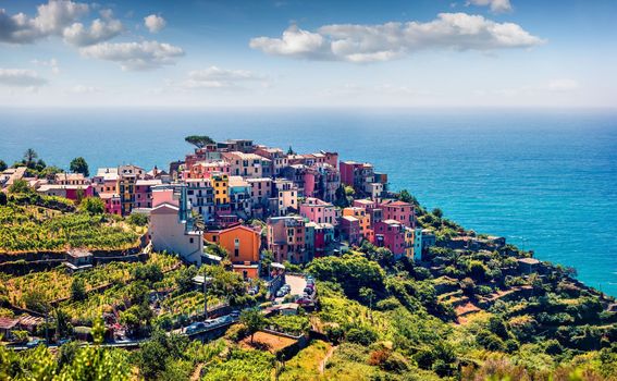 Corniglia, Cinque Terre - 6