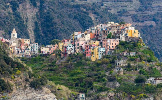 Corniglia, Cinque Terre - 7