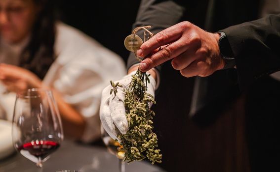 Harry’s Piccolo u Spinnakeru - 7