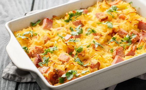 Austrijski složenac od šunke i tjestenine