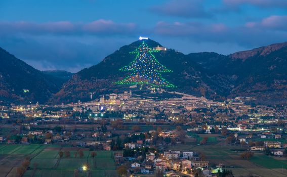 Najveće božićno drvce na svijetu - 2